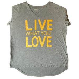 Love Fit by Reflex Women T-shirt size 3XL Gray V-neck Live What You Love